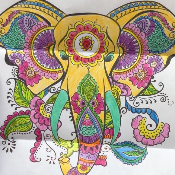 Meet your Posher, Cassidy - Picture 1 of 1